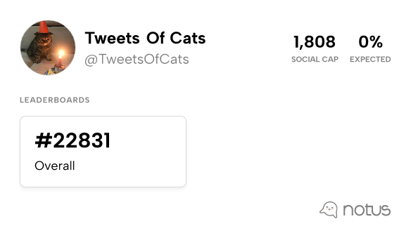 Tweets of Cats on X:  / X